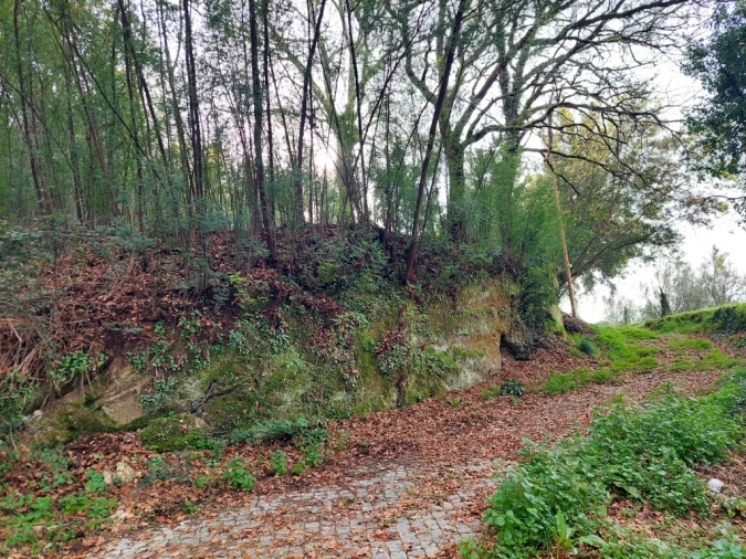 Terreno para Venda em Geraz do Minho Foto 4