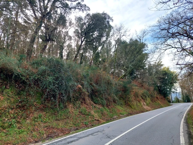 Terreno para Venda em Geraz do Minho Foto 7