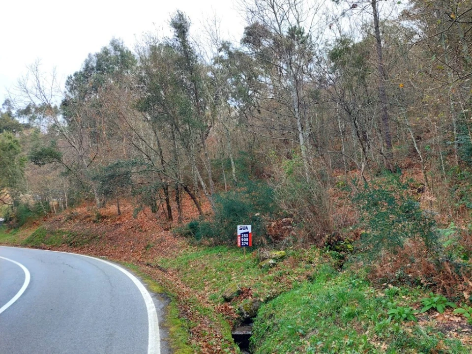 Terreno para Venda em Geraz do Minho Foto 5