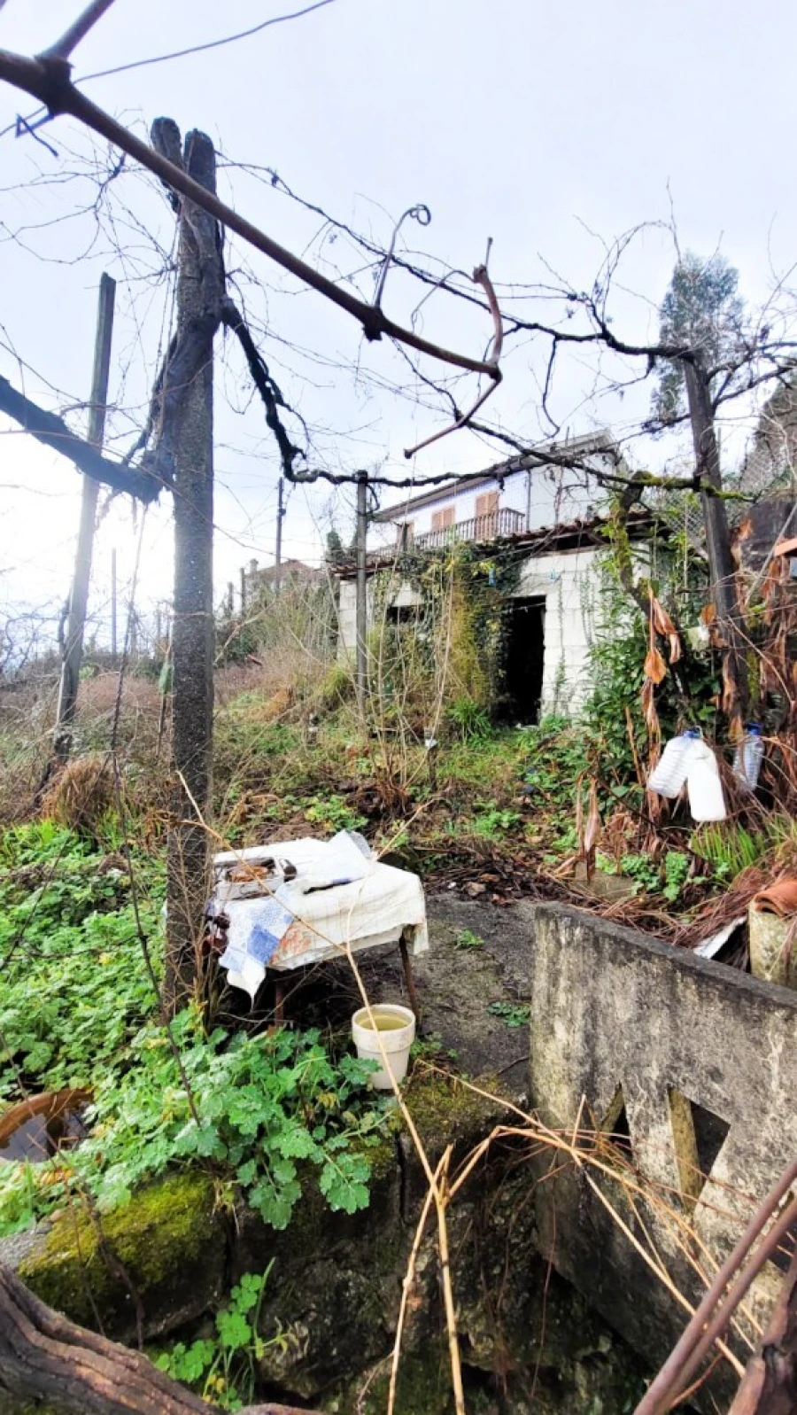 Moradia T5 para Venda em Vieira do Minho Foto 13