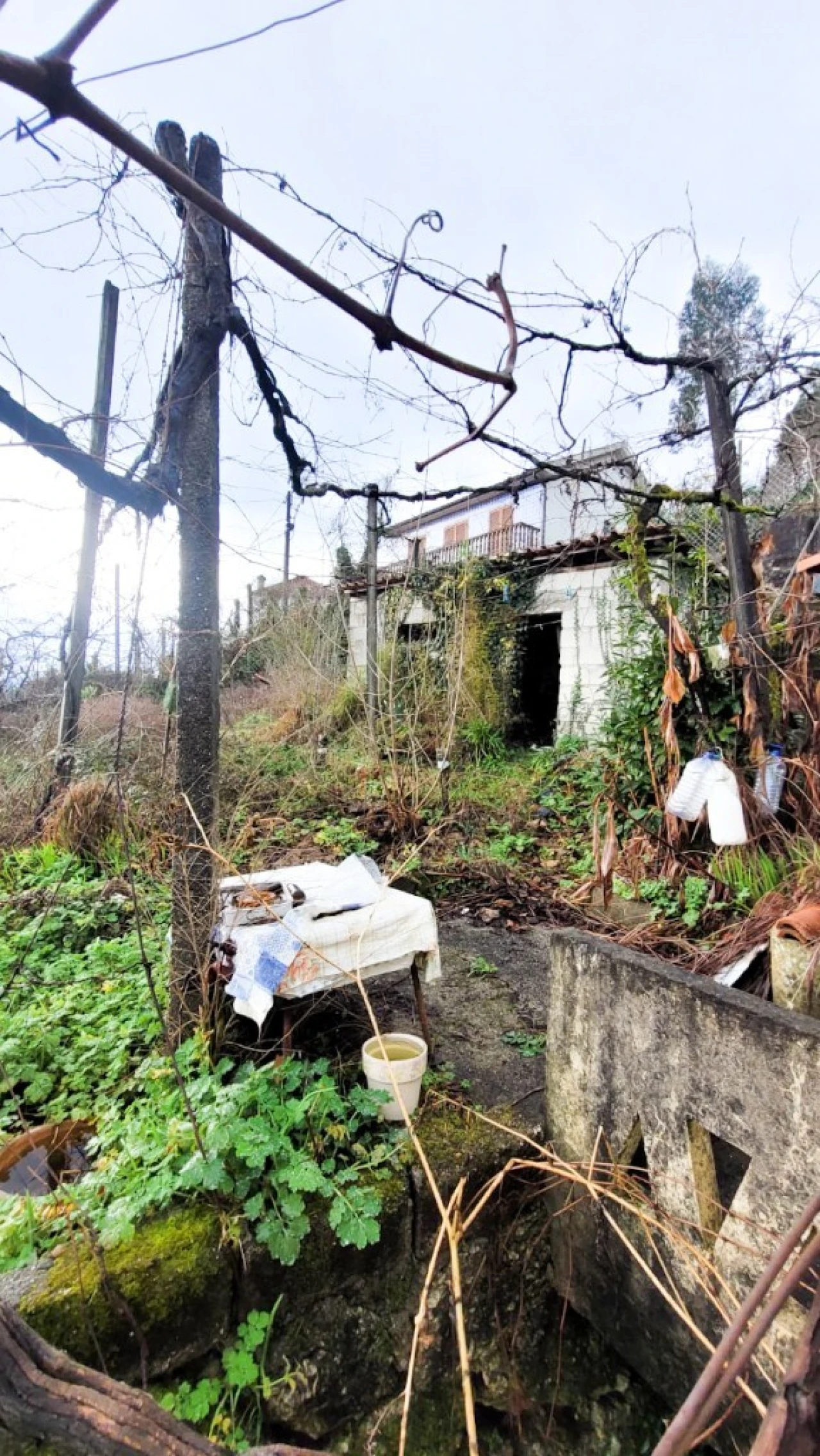 Moradia T5 para Venda em Vieira do Minho Foto 13