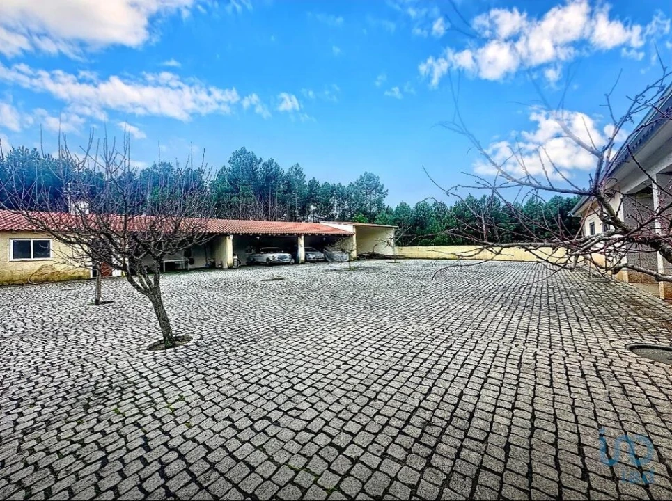 Moradia T4 para Venda em Vale de Anta Foto 4