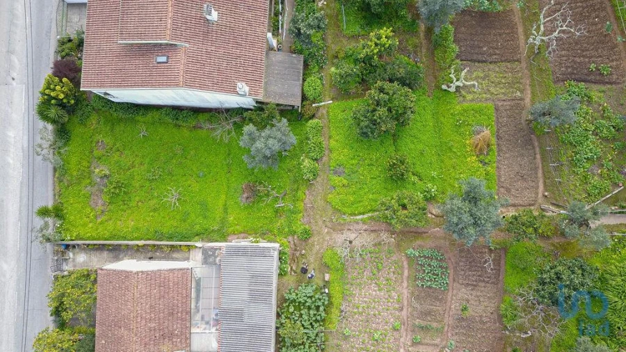Terreno para Venda em Santo Antonio dos Olivais Foto 9