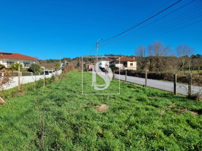 Terreno para Venda em Serzedelo Foto 3
