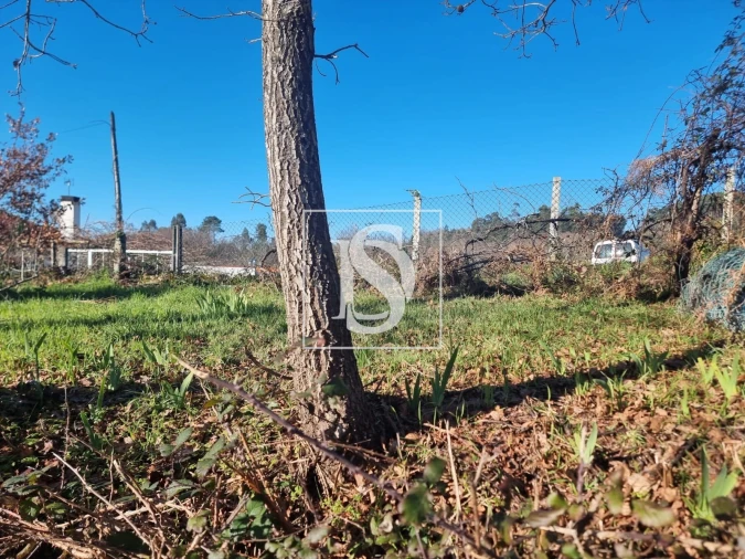 Terreno para Venda em Serzedelo Foto 9