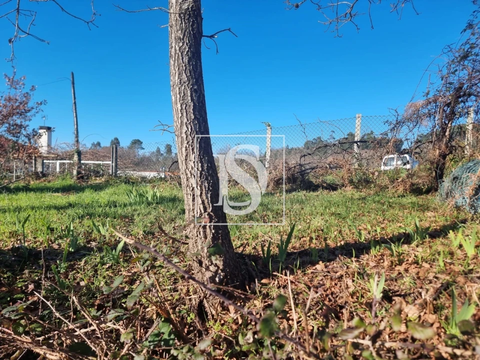 Terreno para Venda em Serzedelo Foto 9