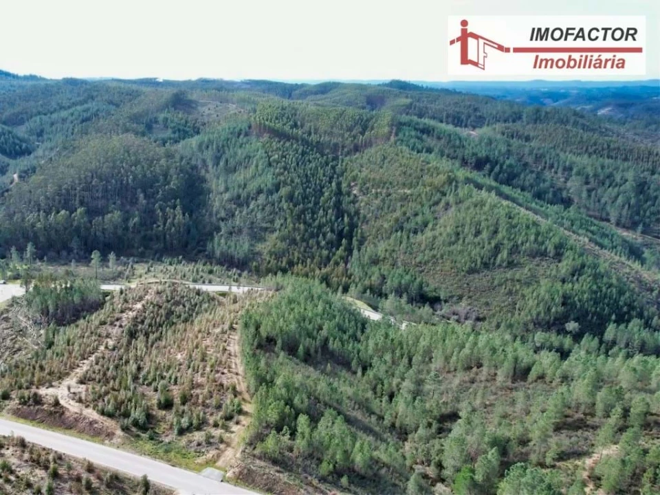 Moradia T3 para Venda em Fratel Foto 16