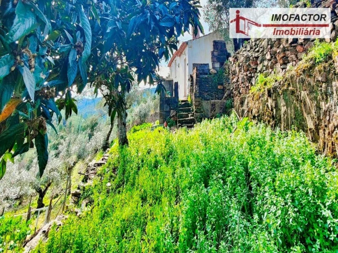 Moradia T3 para Venda em Fratel Foto 8