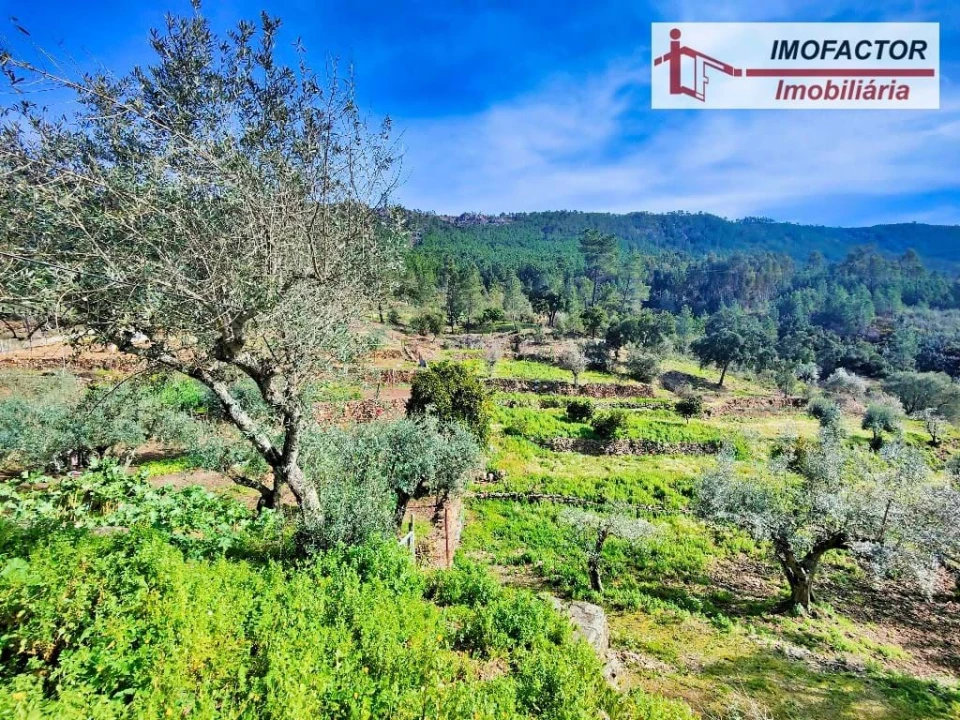 Moradia T3 para Venda em Fratel Foto 15