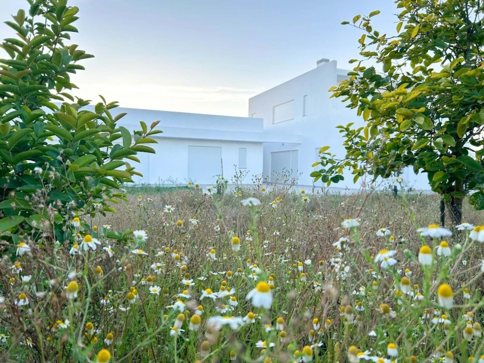 Quinta T5 para Venda em Pinhal Novo Foto 65