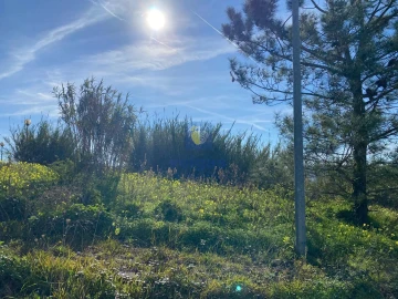 Terreno para Venda em Lourinhã e Atalaia