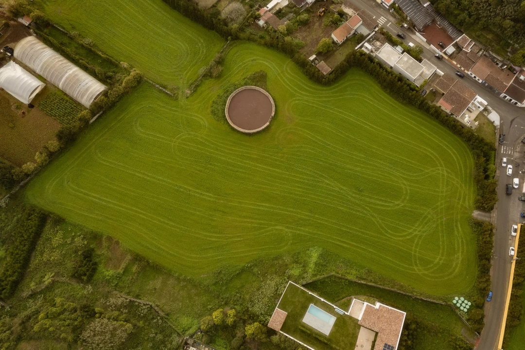 Terreno para Venda em Rosto do Cão (Livramento) Foto 7
