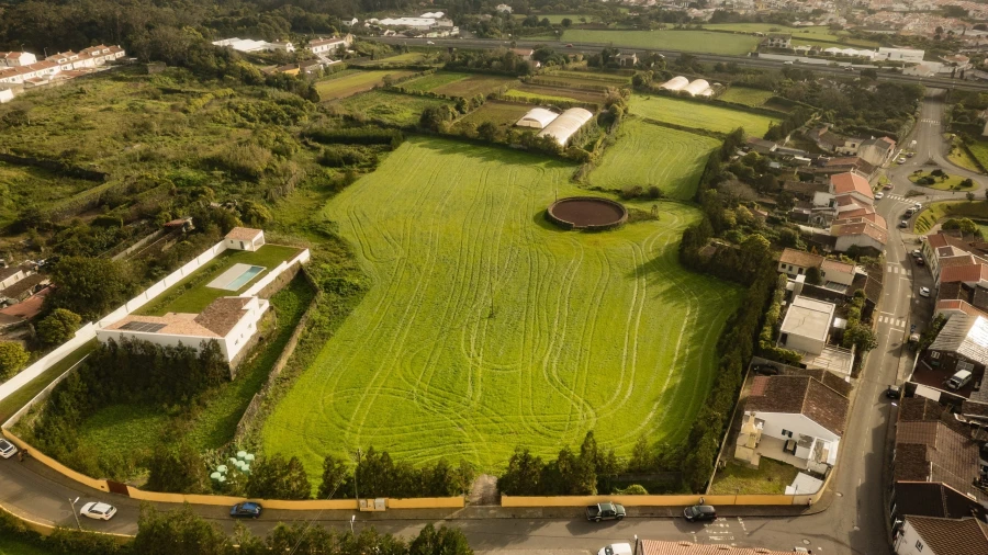 Terreno para Venda em Rosto do Cão (Livramento) Foto 1