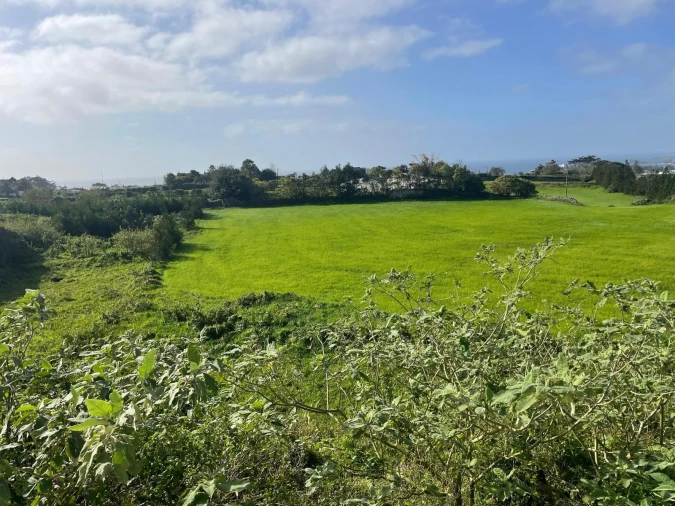 Terreno para Venda em Rosto do Cão (Livramento) Foto 5