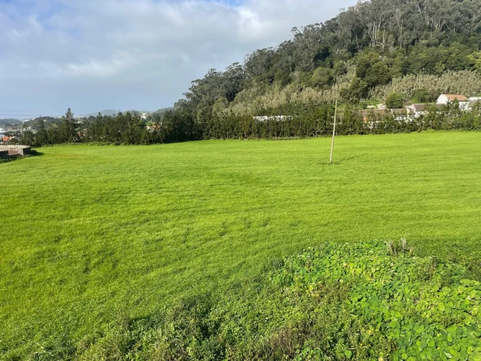 Terreno para Venda em Rosto do Cão (Livramento) Foto 9