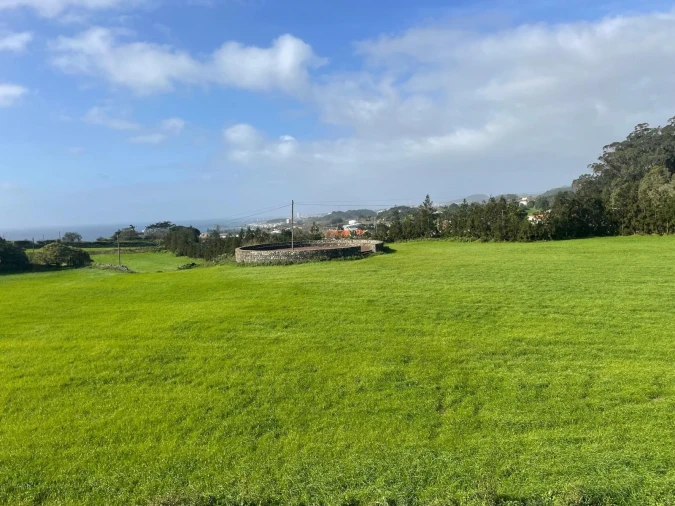Terreno para Venda em Rosto do Cão (Livramento) Foto 4