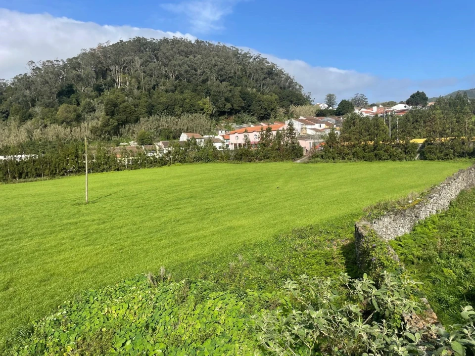 Terreno para Venda em Rosto do Cão (Livramento) Foto 6