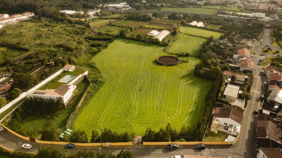 Terreno para Venda em Rosto do Cão (Livramento)