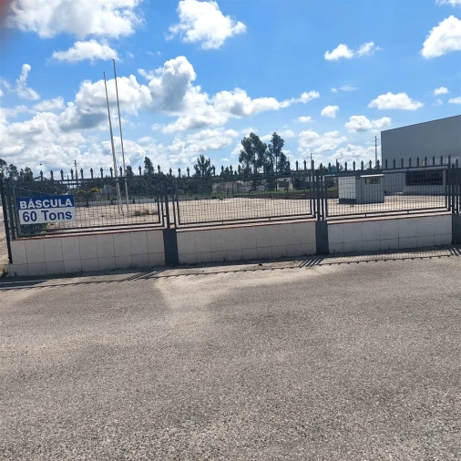 Terreno para Arrendamento em Aljubarrota Foto 3