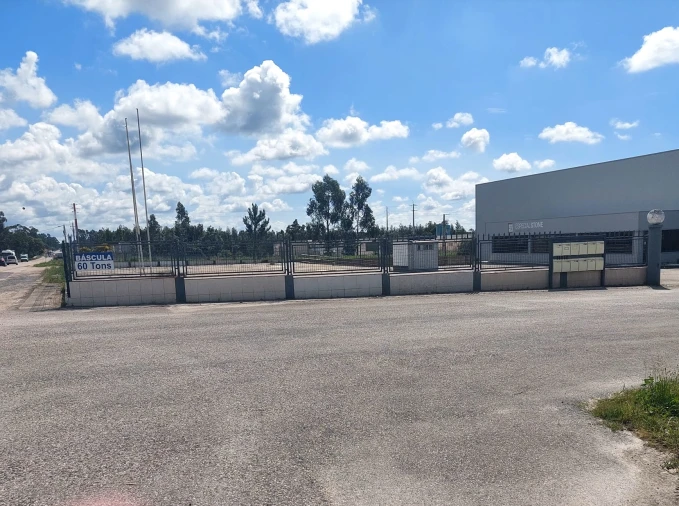 Terreno para Arrendamento em Aljubarrota Foto 2