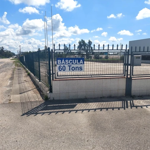 Terreno para Arrendamento em Aljubarrota Foto 5