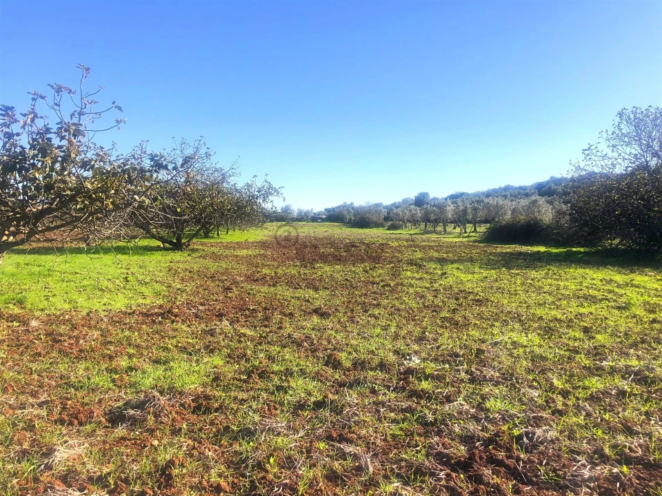 Quinta T3 para Venda em Rio de Moinhos Foto 25