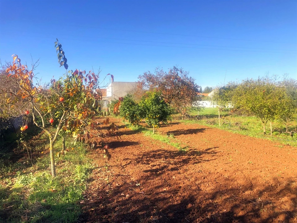 Quinta T3 para Venda em Rio de Moinhos Foto 27