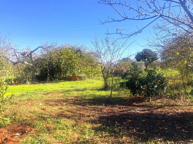 Quinta T3 para Venda em Rio de Moinhos Foto 23