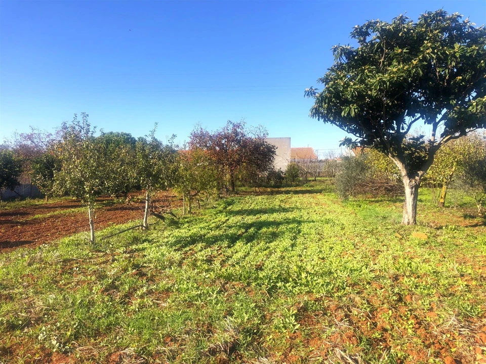 Quinta T3 para Venda em Rio de Moinhos Foto 26