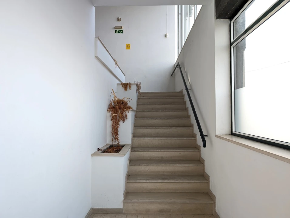 Escritório para Arrendamento em Cacia Foto 5