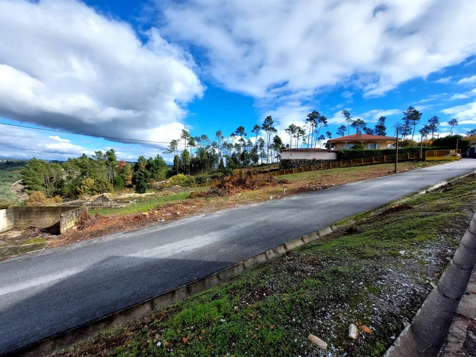 Terreno para Arrendamento em Fornos de Maceira Dão Foto 3