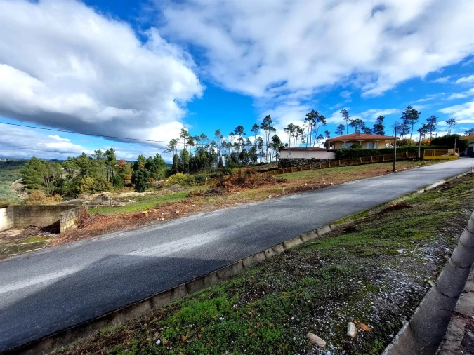 Terreno para Arrendamento em Fornos de Maceira Dão Foto 3