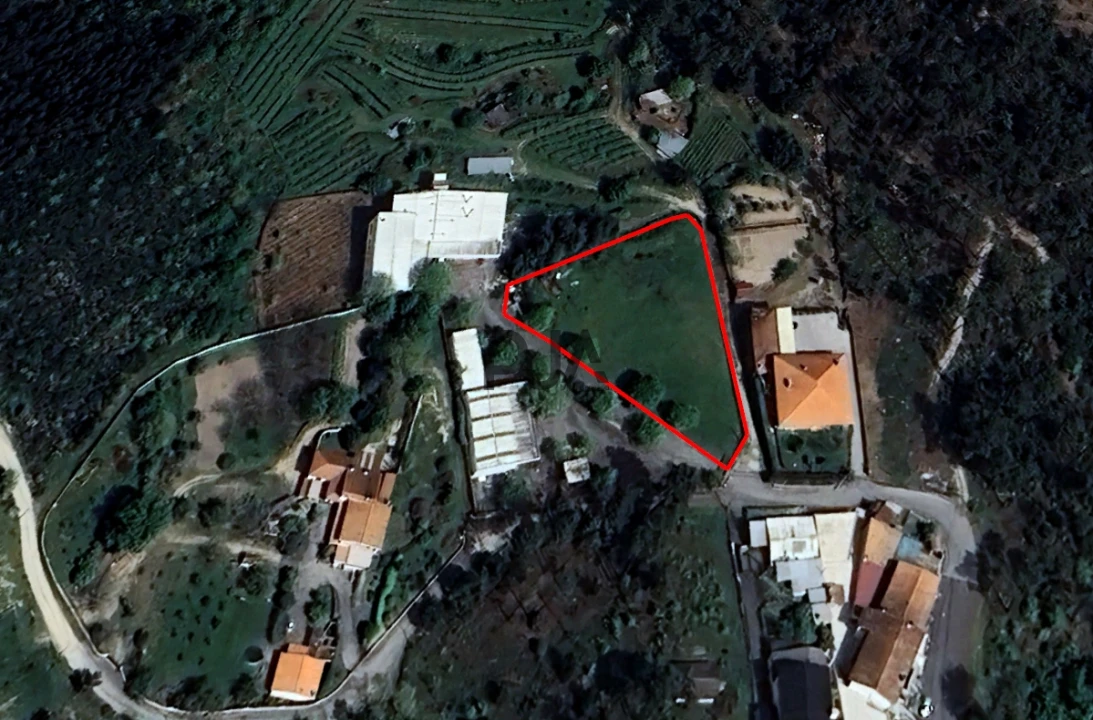 Terreno para Arrendamento em Fornos de Maceira Dão Foto 4
