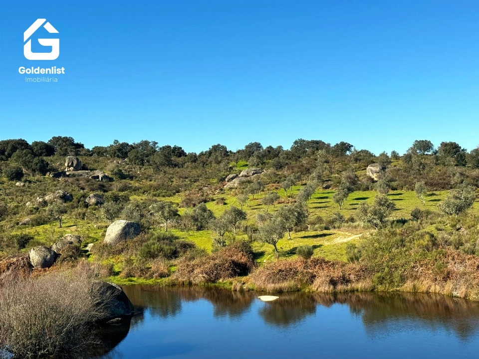Quinta T0 para Venda em Espírito Santo, Nossa Senhora da Graça e São Simão Foto 33