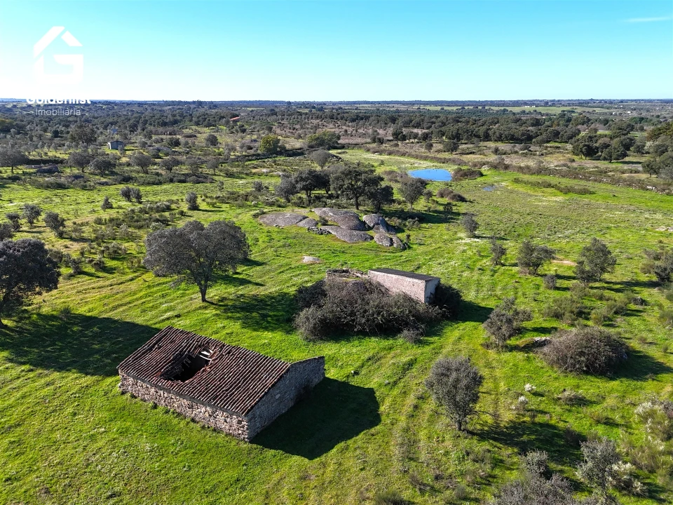 Quinta T0 para Venda em Espírito Santo, Nossa Senhora da Graça e São Simão Foto 11