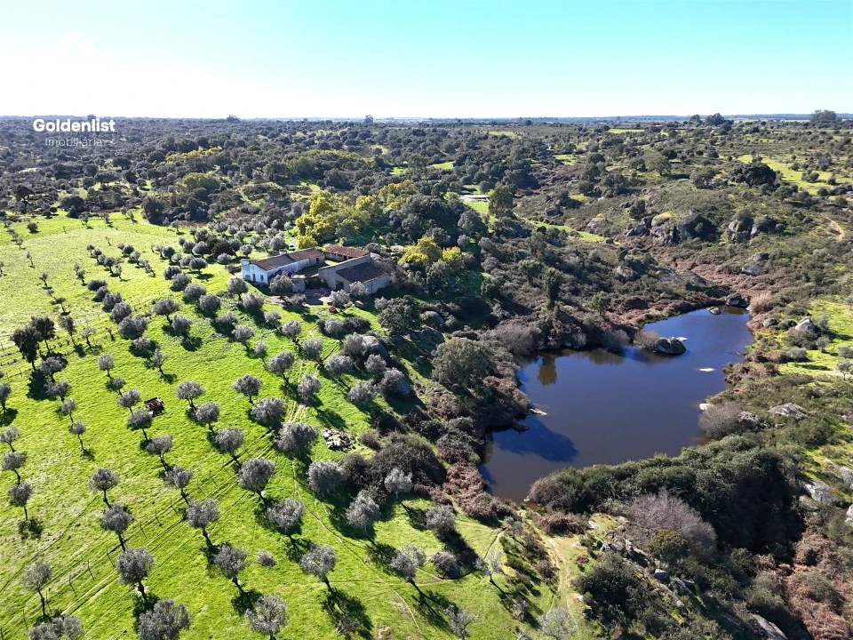 Quinta T0 para Venda em Espírito Santo, Nossa Senhora da Graça e São Simão Foto 17