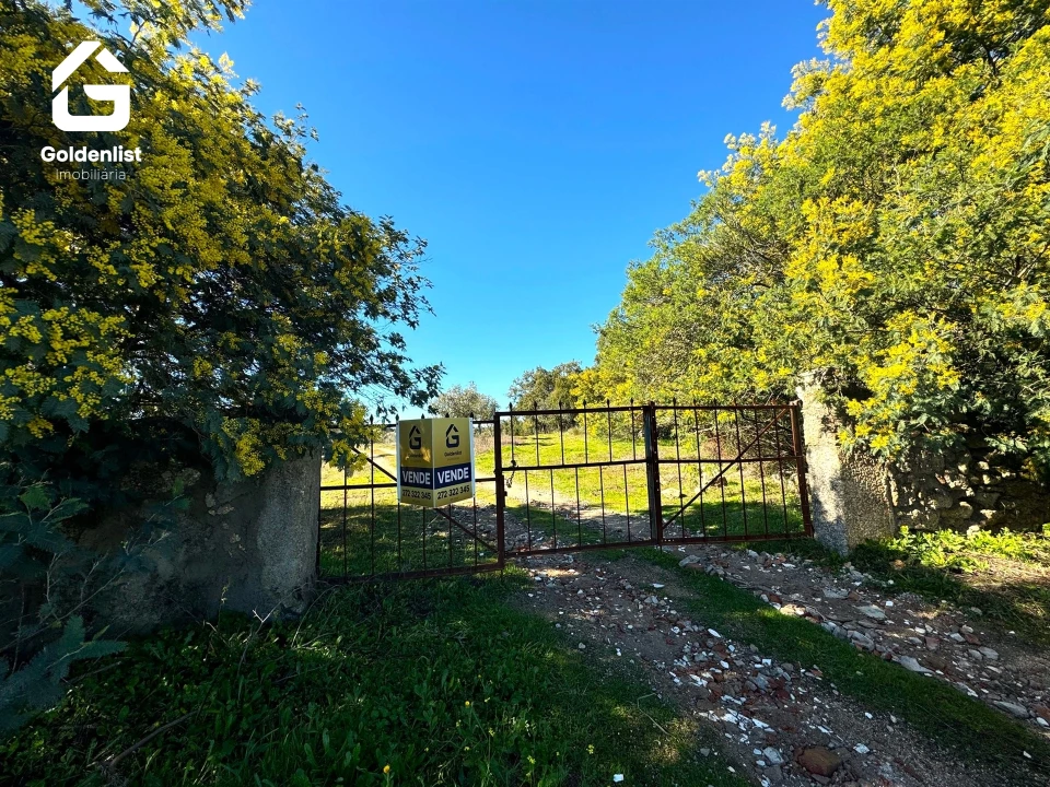 Quinta T0 para Venda em Espírito Santo, Nossa Senhora da Graça e São Simão Foto 34