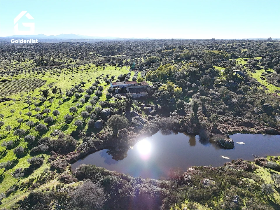 Quinta T0 para Venda em Espírito Santo, Nossa Senhora da Graça e São Simão Foto 19