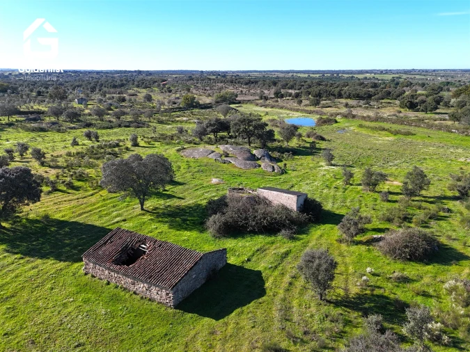 Quinta T0 para Venda em Espírito Santo, Nossa Senhora da Graça e São Simão Foto 11