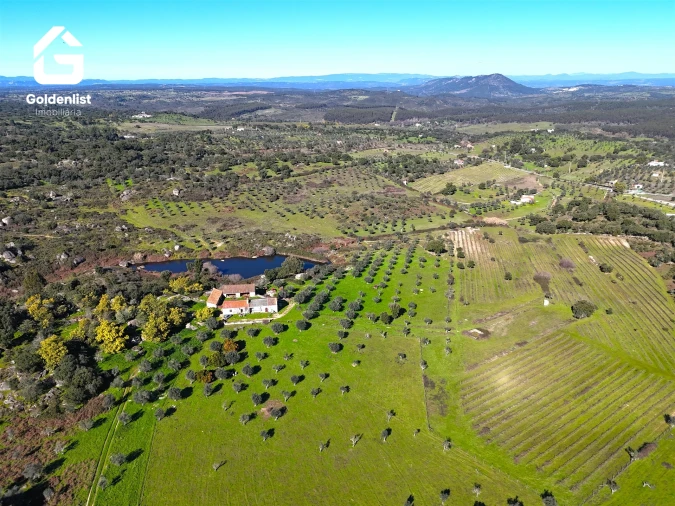 Quinta T0 para Venda em Espírito Santo, Nossa Senhora da Graça e São Simão Foto 27