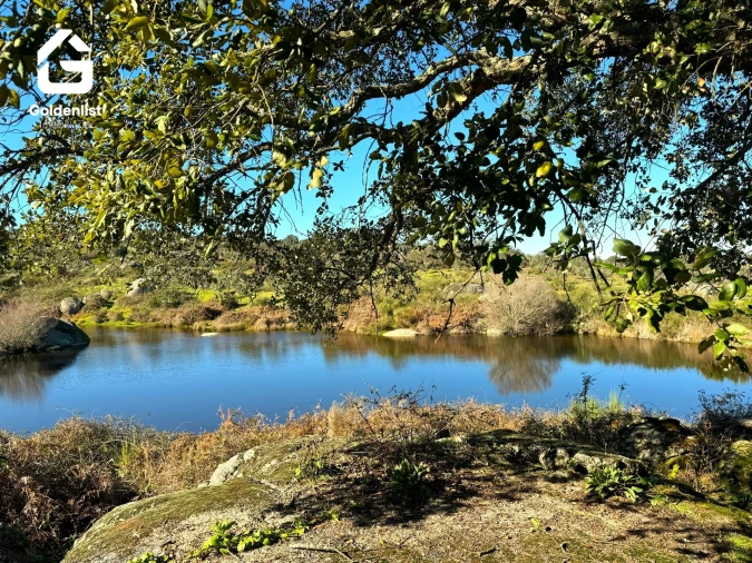 Quinta T0 para Venda em Espírito Santo, Nossa Senhora da Graça e São Simão Foto 31