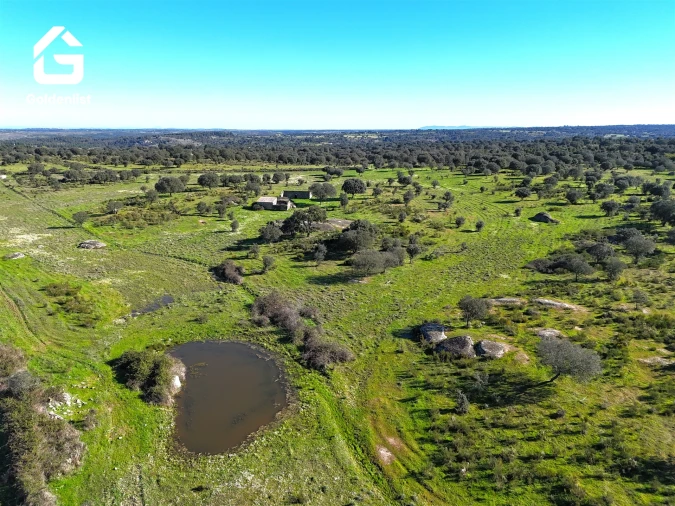 Quinta T0 para Venda em Espírito Santo, Nossa Senhora da Graça e São Simão Foto 8
