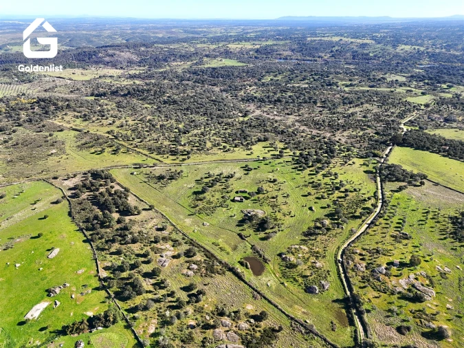Quinta T0 para Venda em Espírito Santo, Nossa Senhora da Graça e São Simão Foto 13