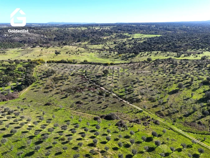 Quinta T0 para Venda em Espírito Santo, Nossa Senhora da Graça e São Simão Foto 24