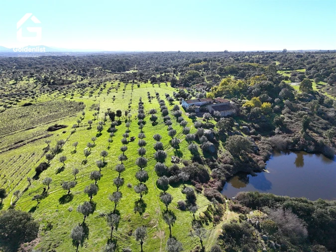 Quinta T0 para Venda em Espírito Santo, Nossa Senhora da Graça e São Simão Foto 3