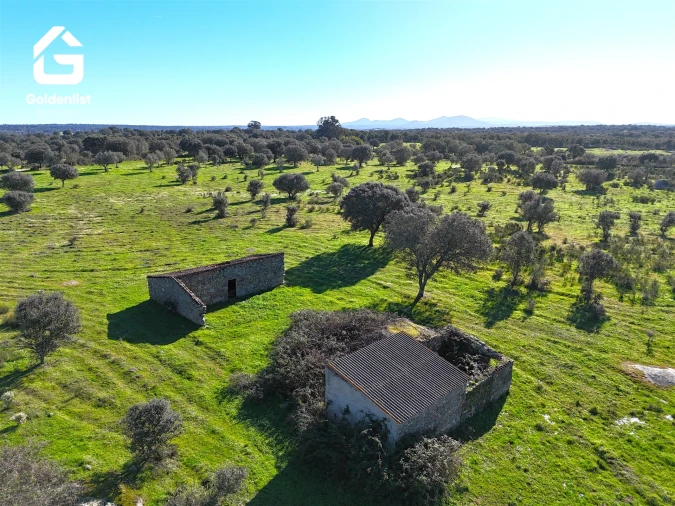 Quinta T0 para Venda em Espírito Santo, Nossa Senhora da Graça e São Simão Foto 10