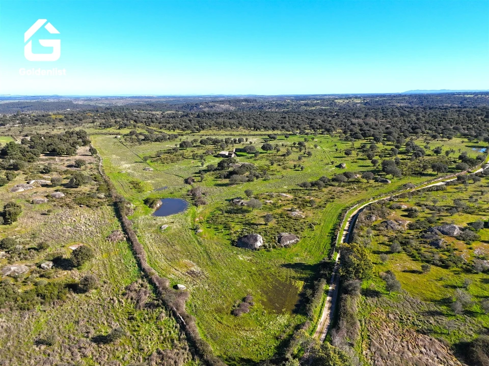 Quinta T0 para Venda em Espírito Santo, Nossa Senhora da Graça e São Simão Foto 4