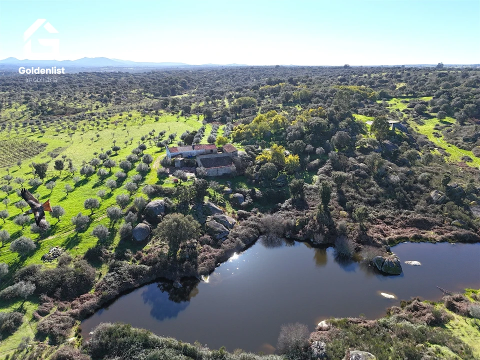 Quinta T0 para Venda em Espírito Santo, Nossa Senhora da Graça e São Simão Foto 20