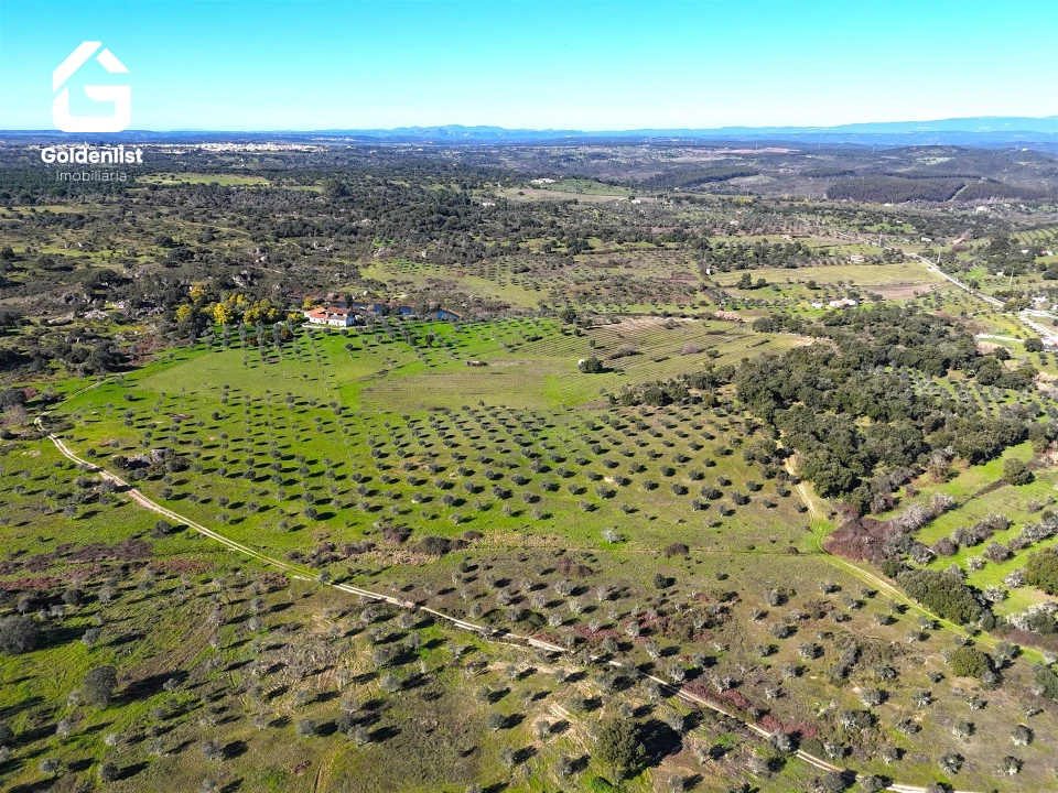 Quinta T0 para Venda em Espírito Santo, Nossa Senhora da Graça e São Simão Foto 30
