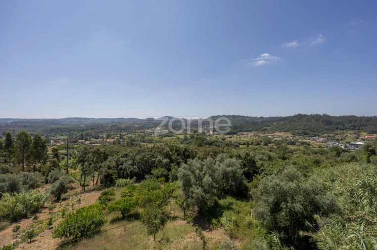 Moradia T4 para Venda em Santiago e São Simão de Litém e Albergaria dos Doze Foto 49